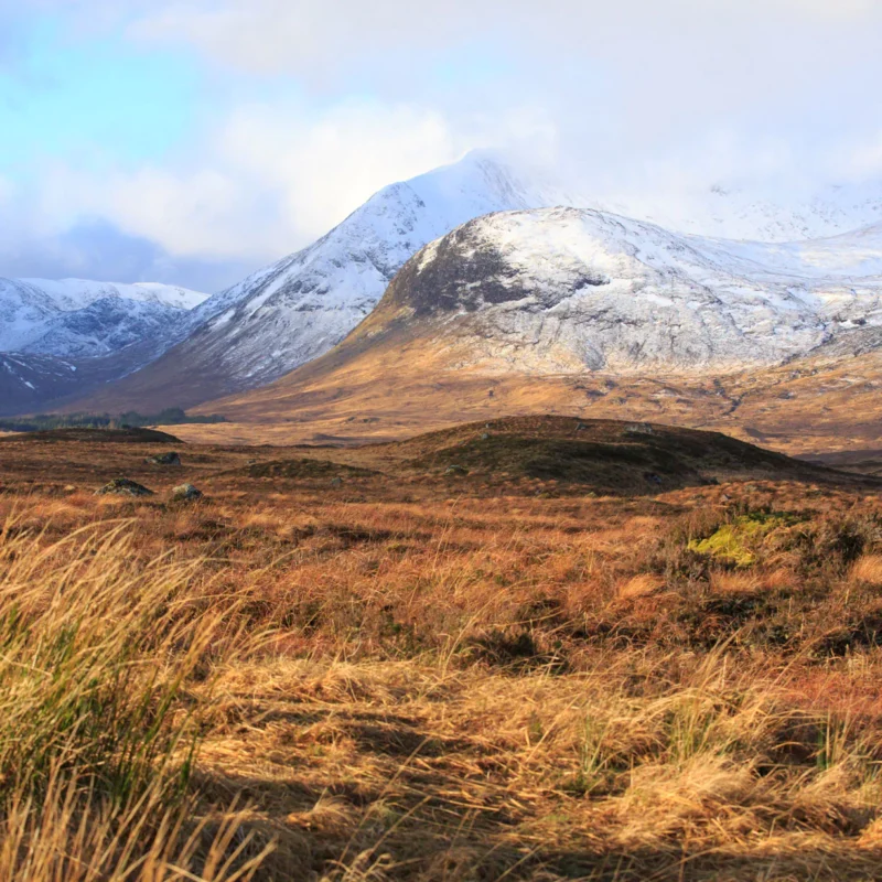 Cairngorms