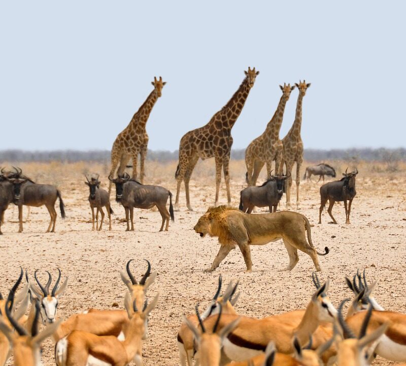 Namibia