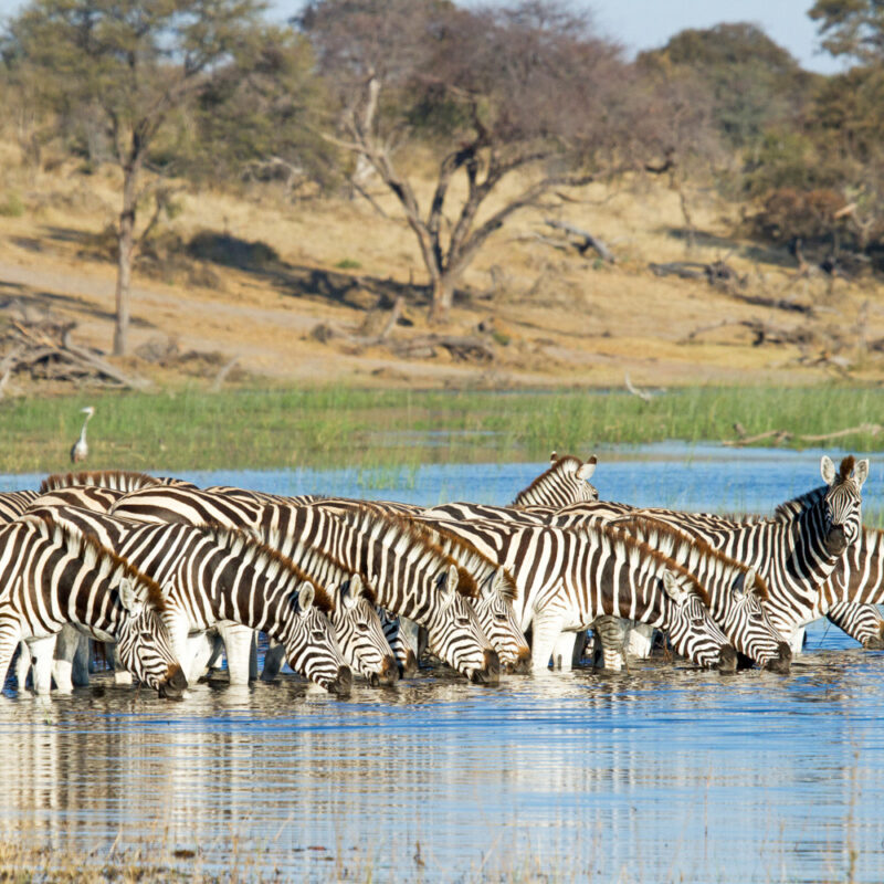 Botswana